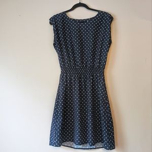 Betabrand Pet Lover's Paw Polka Dot Print Perfect Dress with POCKETS! Large